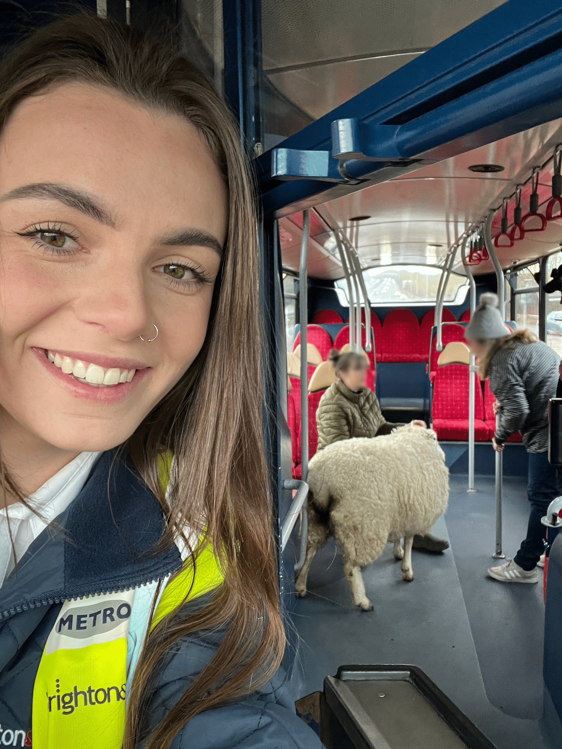 Sheep on a bus